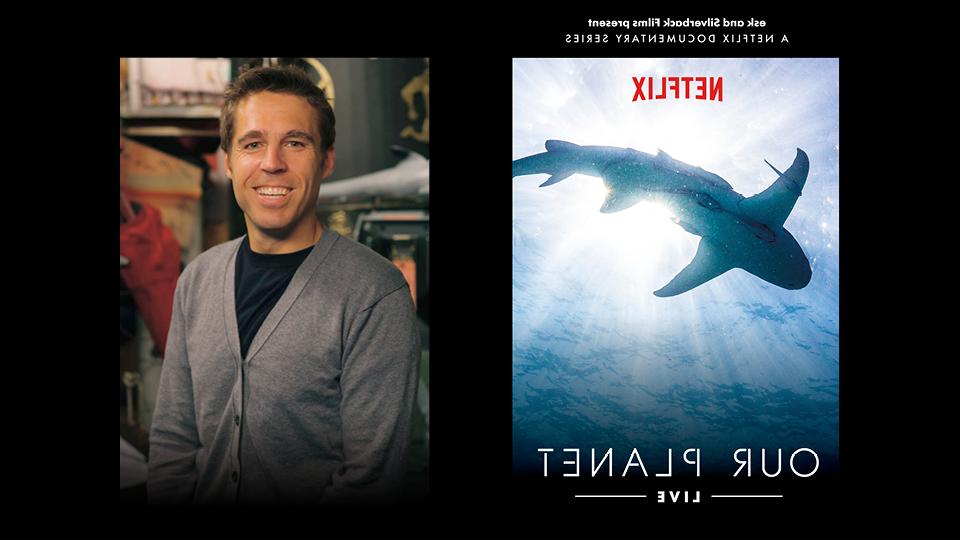 Collage of portraits and a film poster featuring a shark in the ocean